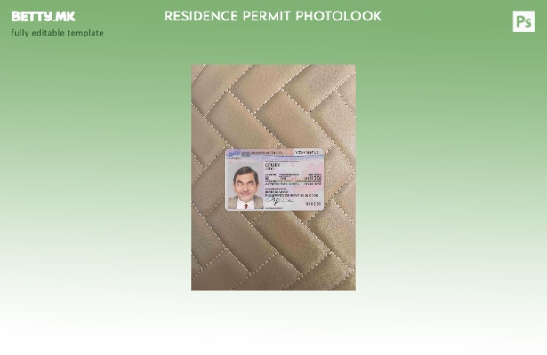 модерен стил Германија дозвола за престој пред, верзија photolook ПРЕДЕН шаблон